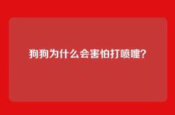 狗狗为什么会害怕打喷嚏？