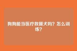 狗狗能当医疗救援犬吗？怎么训练？