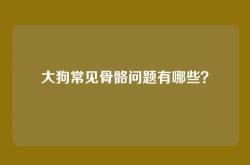 大狗常见骨骼问题有哪些？