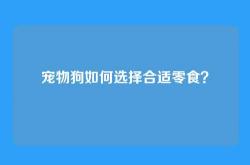 宠物狗如何选择合适零食？