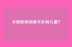 小狗如何训练不扑向儿童？