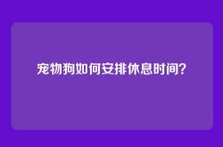 宠物狗如何安排休息时间？