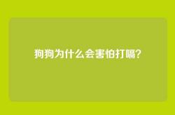 狗狗为什么会害怕打嗝？