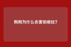 狗狗为什么会害怕呕吐？
