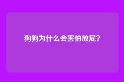 狗狗为什么会害怕放屁？