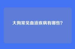 大狗常见血液疾病有哪些？