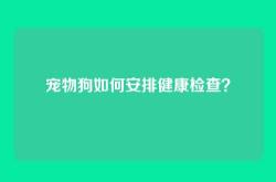 宠物狗如何安排健康检查？
