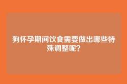 狗怀孕期间饮食需要做出哪些特殊调整呢？