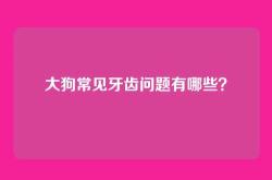 大狗常见牙齿问题有哪些？