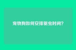宠物狗如何安排驱虫时间？
