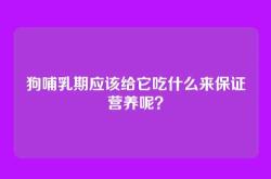 狗哺乳期应该给它吃什么来保证营养呢？