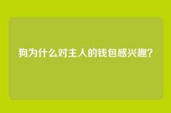 狗为什么对主人的钱包感兴趣？