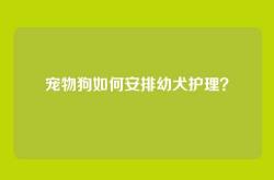 宠物狗如何安排幼犬护理？