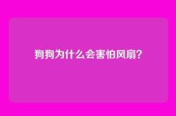 狗狗为什么会害怕风扇？