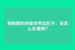 狗换粮的时候突然拉肚子，该怎么处理呢？
