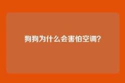 狗狗为什么会害怕空调？