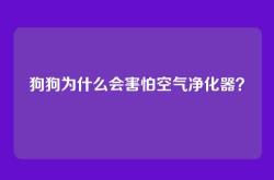 狗狗为什么会害怕空气净化器？
