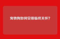 宠物狗如何安排临终关怀？
