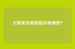 大狗常见癌症症状有哪些？