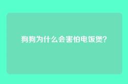 狗狗为什么会害怕电饭煲？