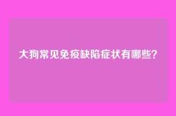 大狗常见免疫缺陷症状有哪些？