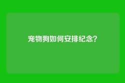 宠物狗如何安排纪念？