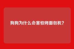 狗狗为什么会害怕烤面包机？