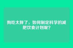 狗吃太胖了，如何制定科学的减肥饮食计划呢？