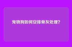 宠物狗如何安排骨灰处理？