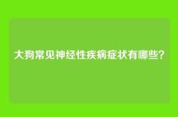 大狗常见神经性疾病症状有哪些？