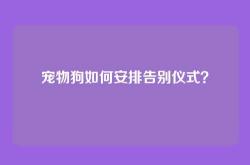 宠物狗如何安排告别仪式？