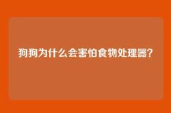 狗狗为什么会害怕食物处理器？