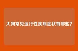 大狗常见退行性疾病症状有哪些？