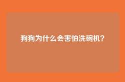 狗狗为什么会害怕洗碗机？