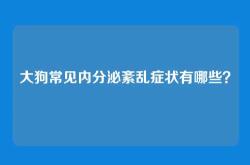 大狗常见内分泌紊乱症状有哪些？