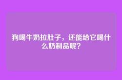 狗喝牛奶拉肚子，还能给它喝什么奶制品呢？