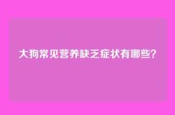大狗常见营养缺乏症状有哪些？