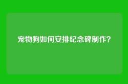 宠物狗如何安排纪念碑制作？