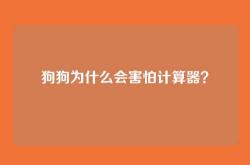 狗狗为什么会害怕计算器？