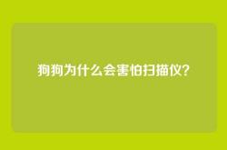 狗狗为什么会害怕扫描仪？