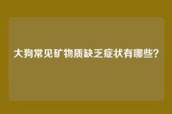 大狗常见矿物质缺乏症状有哪些？