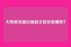 大狗常见蛋白质缺乏症状有哪些？