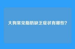 大狗常见脂肪缺乏症状有哪些？