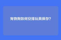 宠物狗如何安排玩具保存？