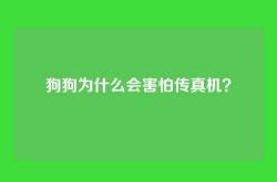 狗狗为什么会害怕传真机？