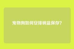宠物狗如何安排碗盆保存？