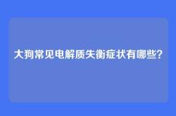 大狗常见电解质失衡症状有哪些？