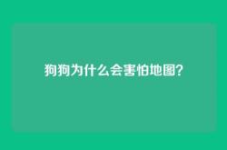狗狗为什么会害怕地图？