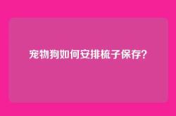 宠物狗如何安排梳子保存？