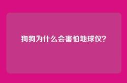 狗狗为什么会害怕地球仪？